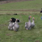 Business 2 image ART & ARCHITECTURE SHOP Art Dealers & Publishers in Richmond Su