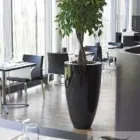 Business 1 image ASCEND PLANT DISPLAYS Shopping & Retail in Birmingham We