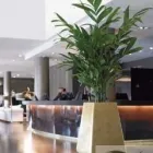 Business 3 image ASCEND PLANT DISPLAYS Shopping & Retail in Birmingham We