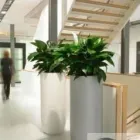 Business 4 image ASCEND PLANT DISPLAYS Shopping & Retail in Birmingham We