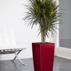 Business 5 image ASCEND PLANT DISPLAYS Shopping & Retail in Birmingham We