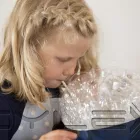 Business 4 image ASHLEY CROSS MONTESSORI Schools in Poole Do