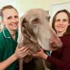 Business 1 image ASHWORTH VETERINARY GROUP, FARNBOROUGH Veterinary Services in Farnborough Ha