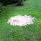 Business 4 image ASSOCIATED SERVICES Drainage Contractors in Shepperton Mi