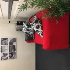 Business 9 image ATTIC THEATRE SCHOOL Theatres in Nottingham No