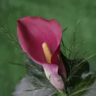 Business 4 image AVIS RENT A CAR Self Drive Car Hire in Slough Be