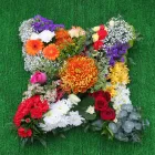 Business 6 image AVIS RENT A CAR Self Drive Car Hire in Slough Be