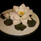 Business 1 image AVON REPRESENTATIVE Cosmetics & Toiletries in Crawley We