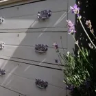 Business 6 image BAGPUSS ANTIQUES Shopping & Retail in BERKHAMSTED He