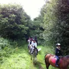Business 2 image BANK HOUSE EQUESTRIAN Riding Schools in Penrith Cu