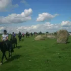 Business 1 image BANK HOUSE EQUESTRIAN Riding Schools in Penrith Cu