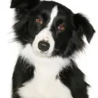 Business 1 image BANK OF SCOTLAND Banks & Financial Institutions in Glasgow La