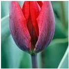 Business 1 image BARCLAYS BANK PLC Banks & Financial Institutions in London Gr