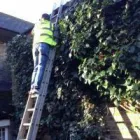Business 9 image BARNES GARDENING SERVICES Garden Services in Dover Ke