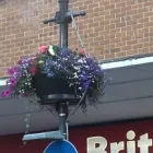 Business 16 image BARNES GARDENING SERVICES Garden Services in Dover Ke