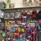 Business 9 image BARNES PET SUPPLIES Pets & Animals in Caernarfon Gw