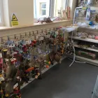 Business 34 image BARNES PET SUPPLIES Pets & Animals in Caernarfon Gw