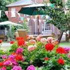 Business 6 image BEACHER HALL CARE HOME - BUPA Residential, Retirement & Care Homes in Reading Be