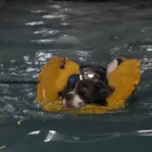 Business 10 image BEC APPLIANCES Electrical Appliance Repairs & Parts in Stockport Ch