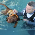 Business 3 image BEC APPLIANCES Electrical Appliance Repairs & Parts in Stockport Ch