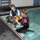 Business 5 image BEC APPLIANCES Electrical Appliance Repairs & Parts in Stockport Ch