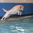 Business 6 image BEC APPLIANCES Electrical Appliance Repairs & Parts in Stockport Ch