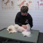 Business 7 image BEC APPLIANCES Electrical Appliance Repairs & Parts in Stockport Ch