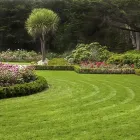 Business 3 image BEECHTREE MANAGEMENT Tree Services in Walsall We