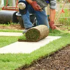 Business 4 image BEECHTREE MANAGEMENT Tree Services in Walsall We