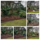 Business 8 image BENITA'S GARDEN SERVICES Tree Services in Ferndown Do