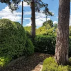 Business 14 image BENITA'S GARDEN SERVICES Tree Services in Ferndown Do