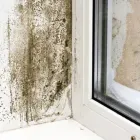 Business 1 image BENTLEY DAMP PROOFING LTD Waterproofing Contractors in Dover Ke