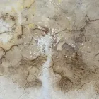 Business 4 image BENTLEY DAMP PROOFING LTD Waterproofing Contractors in Dover Ke