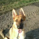 Business 6 image BERKHAMSTED FOOT CLINIC Chiropodists & Podiatrists in BERKHAMSTED He