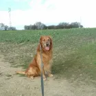 Business 7 image BERKHAMSTED FOOT CLINIC Chiropodists & Podiatrists in BERKHAMSTED He