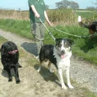 Business 8 image BERKHAMSTED FOOT CLINIC Chiropodists & Podiatrists in BERKHAMSTED He