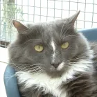 Business 9 image BERKHAMSTED FOOT CLINIC Chiropodists & Podiatrists in BERKHAMSTED He