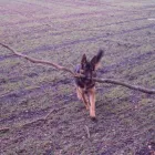 Business 2 image BERKHAMSTED FOOT CLINIC Chiropodists & Podiatrists in BERKHAMSTED He