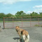 Business 3 image BERKHAMSTED FOOT CLINIC Chiropodists & Podiatrists in BERKHAMSTED He