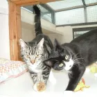 Business 5 image BERKHAMSTED FOOT CLINIC Chiropodists & Podiatrists in BERKHAMSTED He