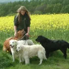 Business 1 image BERKHAMSTED FOOT CLINIC Chiropodists & Podiatrists in BERKHAMSTED He