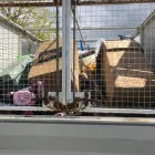 Business 13 image BERKS & BUCKS RUBBISH CLEARANCE Waste Management in Slough Be