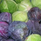 Business 5 image BETTAVEG Grocery Stores in Manchester Gr