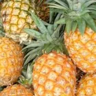 Business 7 image BETTAVEG Grocery Stores in Manchester Gr