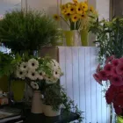 Business 6 image BETTYS FLORISTS Florists in Cardiff So