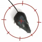 Business 4 image BFC EXCHANGE Commercial & Business Finance in Ilford Gr