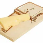 Business 5 image BFC EXCHANGE Commercial & Business Finance in Ilford Gr