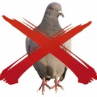 Business 1 image BFC EXCHANGE Commercial & Business Finance in Ilford Gr