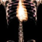 Business 1 image BICESTER CHIROPRACTIC Health & Medicine in Bicester Ox