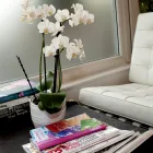 Business 5 image BIGG Internet Web Design & Development in Bristol Av